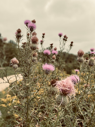 Nature Preserve «Captain Daniel Wright Woods Forest Preserve», reviews and photos, 24830 N St Marys Rd, Mettawa, IL 60045, USA