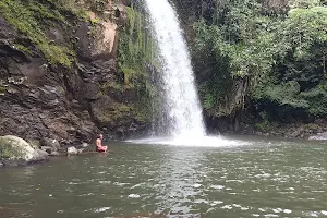 Sagumata Falls image