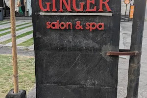 Ginger Salon & Spa image