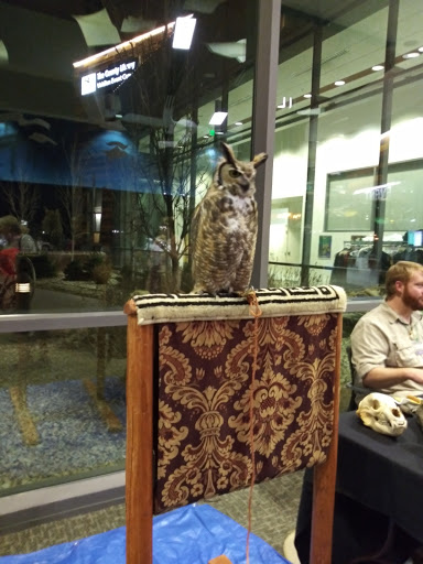 Event Venue «Viridian Event Center», reviews and photos, 8030 S 1825 W, West Jordan, UT 84088, USA