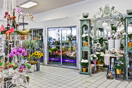 Albany Florist and Gifts