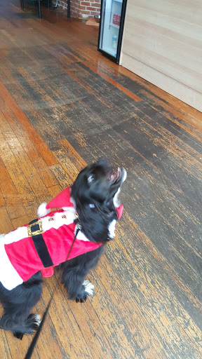 Pet Groomer «That Dog Wash», reviews and photos, 1401 Jackson St, Omaha, NE 68102, USA