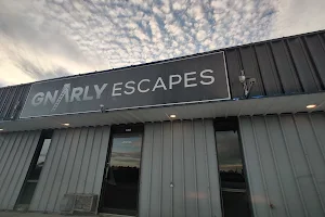 Gnarly Escapes image