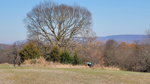 National Park «Antietam National Cemetery», reviews and photos, 302 E Main St, Sharpsburg, MD 21782, USA