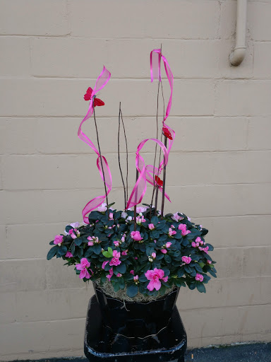 Florist «Village Flowers & Gifts», reviews and photos, 527 W Lodi Ave, Lodi, CA 95242, USA