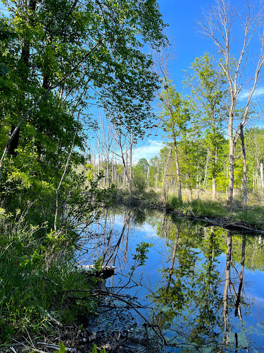 Nature Preserve «Eliason Nature Reserve», reviews and photos, 9501 Shaver Rd, Portage, MI 49024, USA