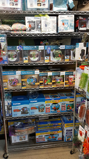 Pet Groomer «ITIG Happy Dog Wash», reviews and photos, 6465 S Chickasaw Trail, Orlando, FL 32829, USA