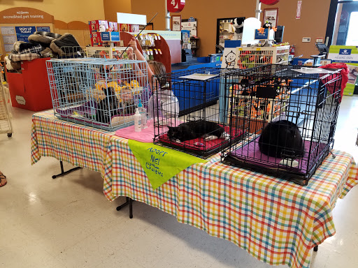 Pet Supply Store «PetSmart», reviews and photos, 6019 Wade Hampton Blvd, Taylors, SC 29687, USA