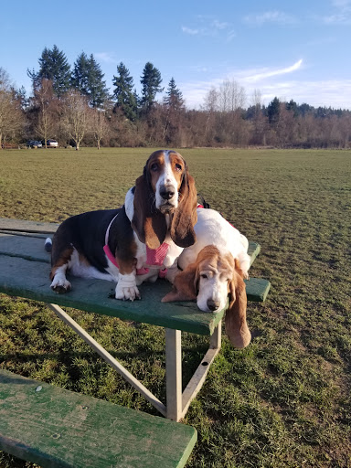 Pet Supply Store «Salem Pet Supply», reviews and photos, 3185 Market St NE, Salem, OR 97301, USA