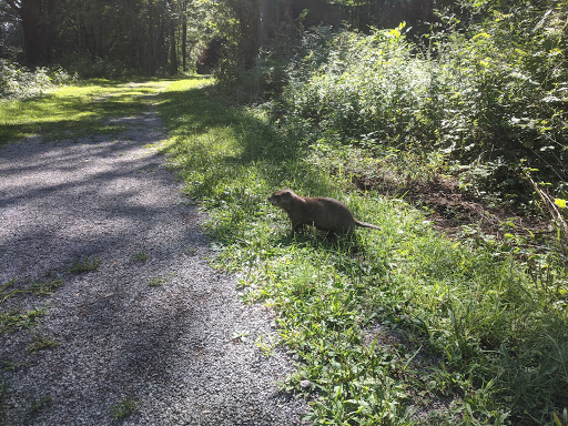 Nature Preserve «Reinstein Woods Nature Preserve», reviews and photos, 93 Honorine Dr, Depew, NY 14043, USA