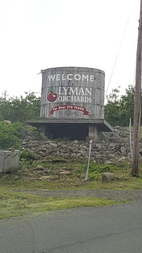Tourist Attraction «Sunflower Maze», reviews and photos, South St, Middlefield, CT 06455, USA