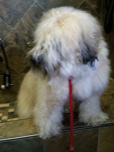 Pet Store «Pet Valu», reviews and photos, 2290 Central Park Ave, Yonkers, NY 10701, USA