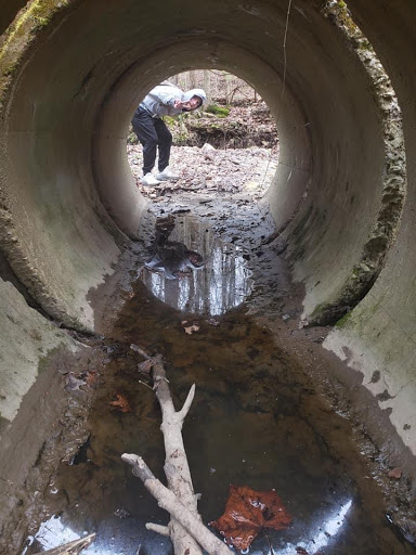 Nature Preserve «Seven Pillars Nature Preserve», reviews and photos, 3555 Mississinewa Rd, Peru, IN 46970, USA