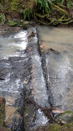 Non-Profit Organization «Audubon Society of Portland», reviews and photos, 5151 NW Cornell Rd, Portland, OR 97210, USA