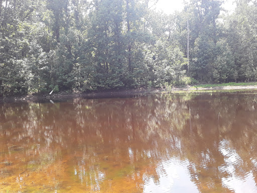 Wildlife Park «Charlie Elliott Wildlife Center», reviews and photos, 543 Elliott Trail, Mansfield, GA 30055, USA