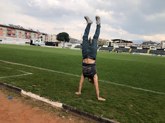 Şehir Stadyumu Ve Spor Tesisleri