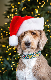 Duke & Fox - Photo 5 - Car repair in Jonesborough, TN, Johnson City