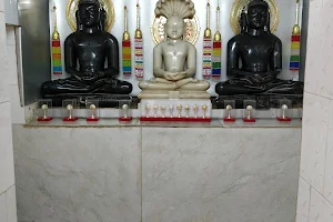 श्री पार्श्वनाथ दिगंबर जैन मंदिर जी,पिठौरिया image