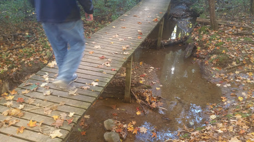 Nature Preserve «McDonald Woods Forest Preserve», reviews and photos, 19611 W Grass Lake Rd, Lake Villa, IL 60046, USA