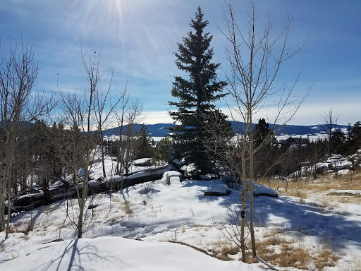 General Store «Eleven Mile General Store», reviews and photos, 5790 Co Rd 92, Lake George, CO 80827, USA