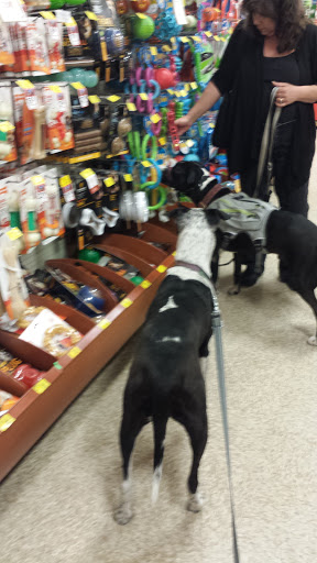 Pet Supply Store «PetSmart», reviews and photos, 21032 S Ellsworth Loop, Queen Creek, AZ 85142, USA