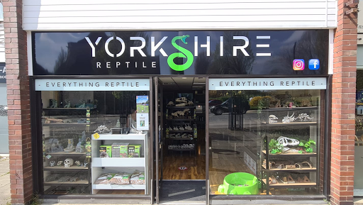 Yorkshire Reptile