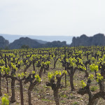 Photo n° 1 de l'avis de H.-J..u fait le 16/04/2024 à 16:10 pour Tennis and motor home aire à Gigondas