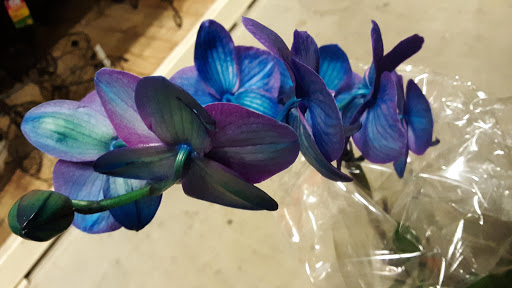 Home Improvement Store «The Home Depot», reviews and photos, 350 N Orchard Ave, Ukiah, CA 95482, USA