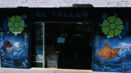 Acuario El Taller