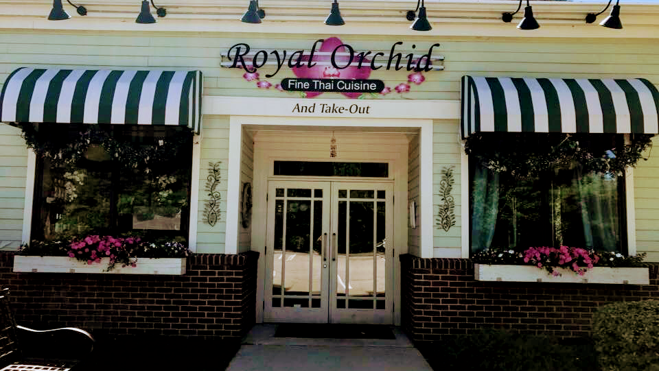 Royal Orchid 01969