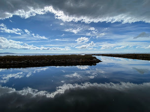Photo n°18 de LA CABANE à Marseillan ()