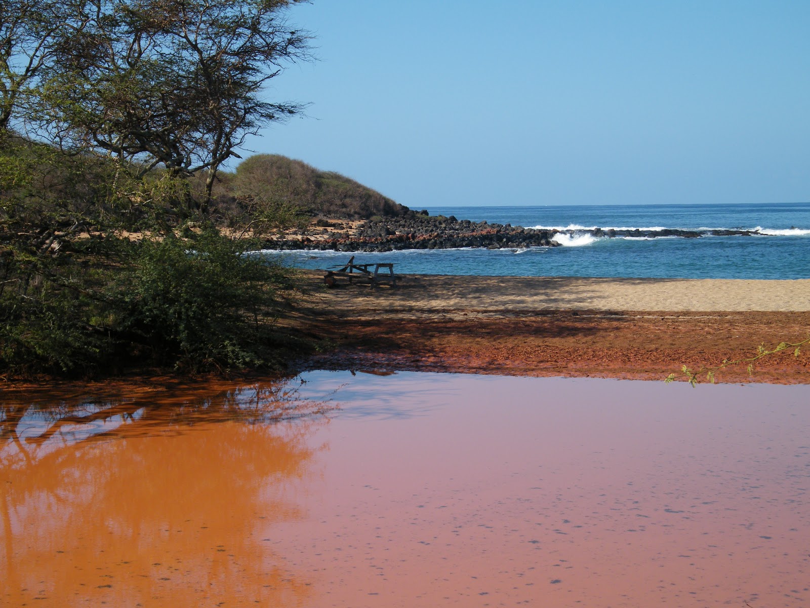 Foto van Kapukahehu Beach wilde omgeving