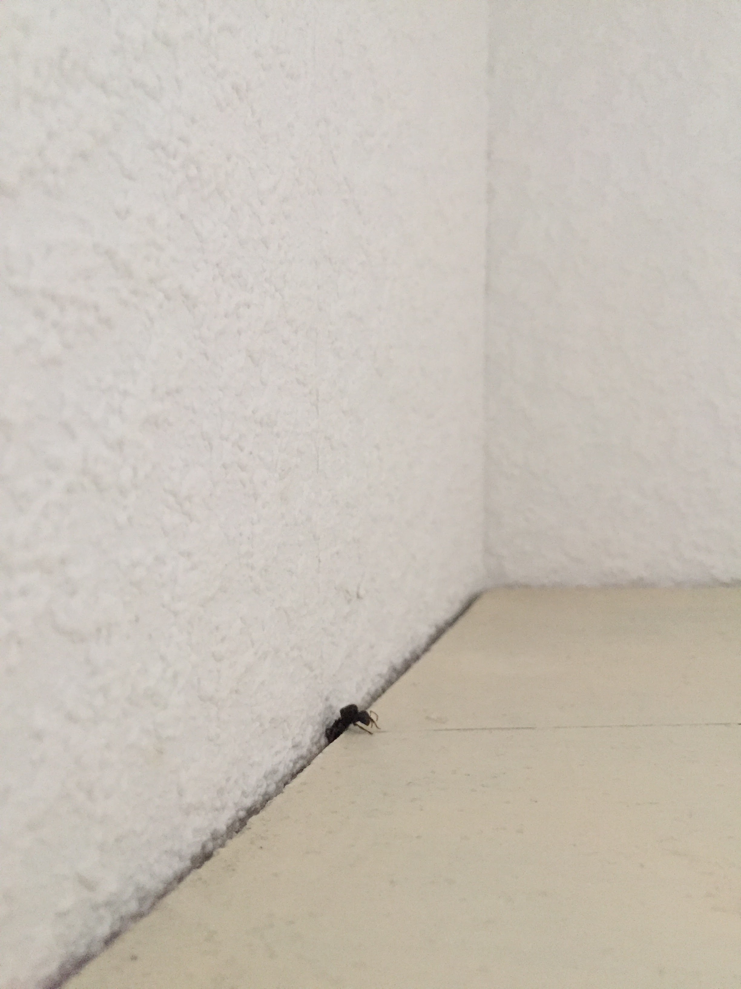 Photo n° 2 de l'avis de Cose.i fait le 25/03/2018 à 19:26