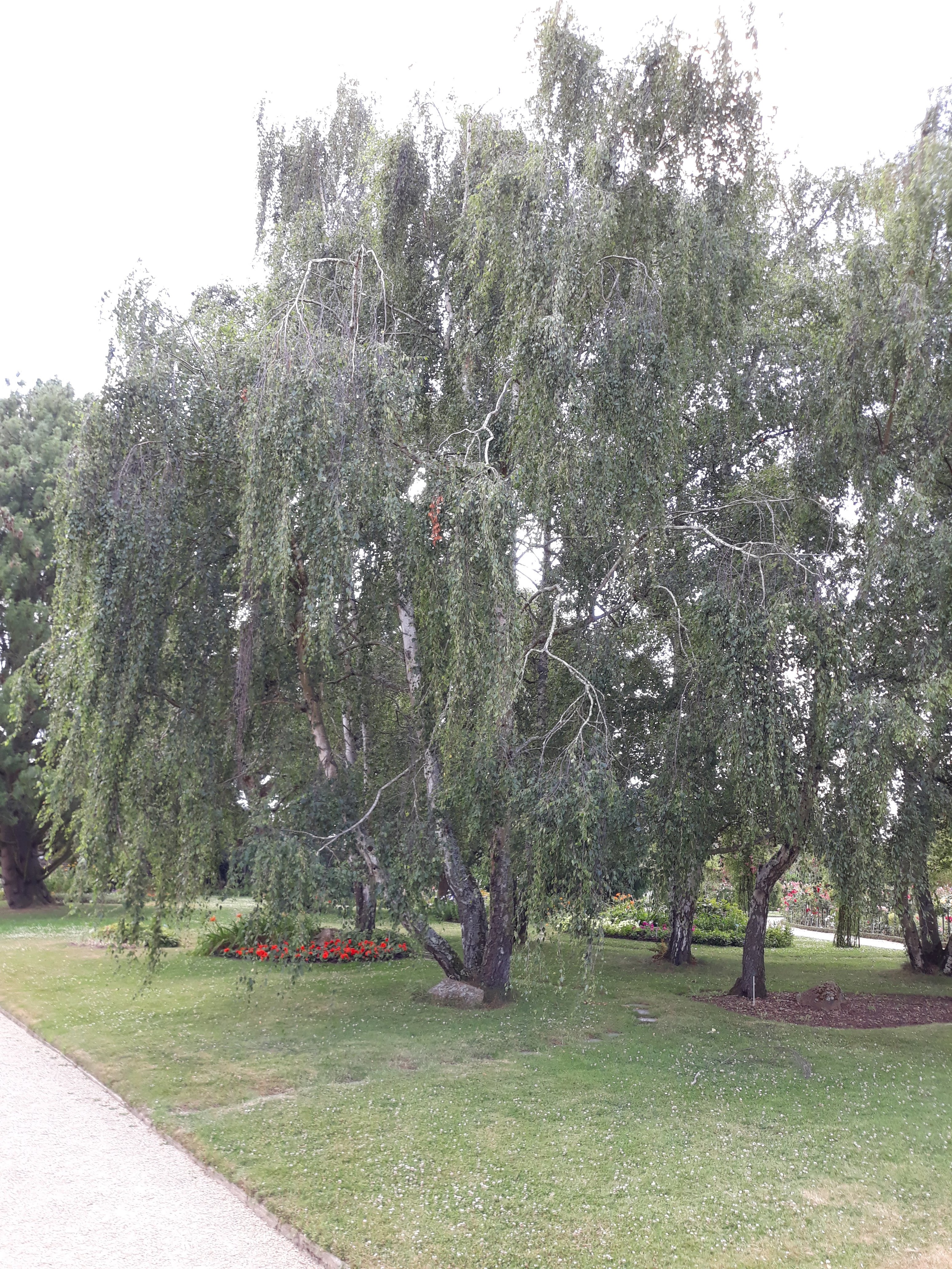 Photo n° 14 de l'avis de Thomas.e fait le 14/07/2019 à 16:51