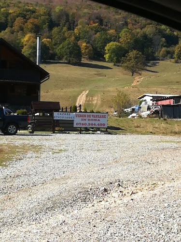 Strada Avram Iancu 1, Brad 335200, România