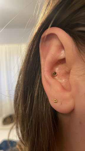 Find tattoos on chest ideas for your next unique tattoo in San Diego at Rose Body Piercing