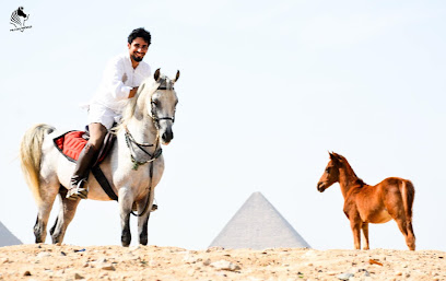 iRide Egypt - Horseback Riding - فريق آي رايد إيجيبت لركوب الخيل