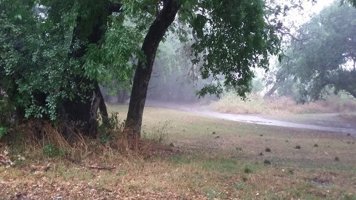 Park «Nani Falcone Community Park», reviews and photos, 7625 Mystic Park, San Antonio, TX 78254, USA