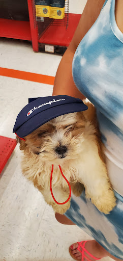 Pet Supply Store «Petco Animal Supplies», reviews and photos, 1049 S Willow St, Manchester, NH 03103, USA