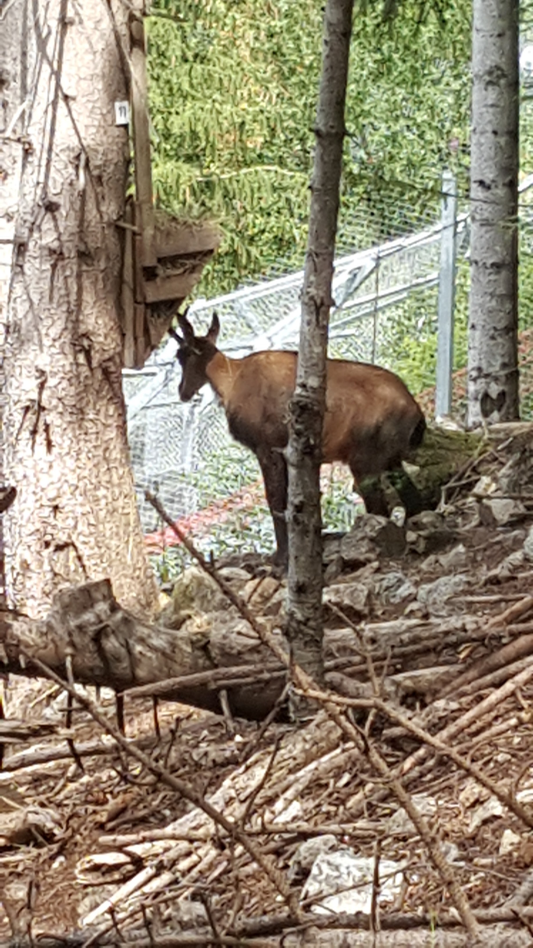 Photo n° 4 de l'avis de Fabrice.u fait le 28/07/2020 à 13:09