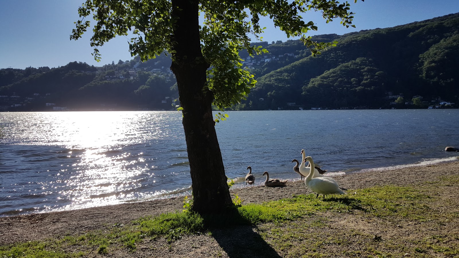 Photo of Derflistrasse am Brienzersee with rocks cover surface