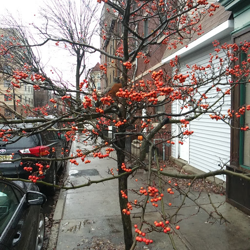 Grocery Store «ACME Markets», reviews and photos, 614 Clinton St, Hoboken, NJ 07030, USA