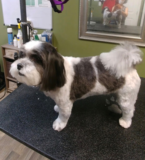 Pet Supply Store «EarthWise Pet Supply», reviews and photos, 3300 Hamilton Mill Rd #103, Buford, GA 30519, USA