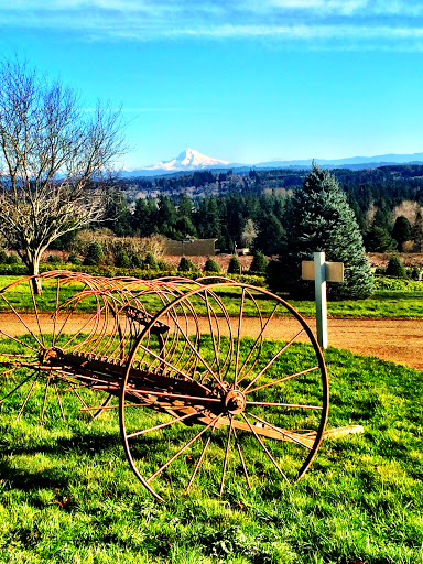 Gift Shop «Sleighbells Of Sherwood (Seasonal Business Open July1-December 23)», reviews and photos, 23855 SW 195th Pl, Sherwood, OR 97140, USA