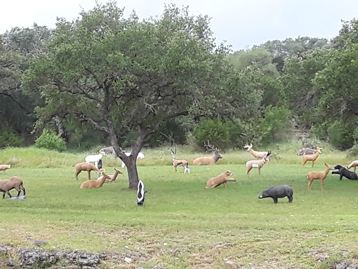 Nature Preserve «Natural Bridge Caverns», reviews and photos, 26495 Natural Bridge Caverns Rd, San Antonio, TX 78266, USA