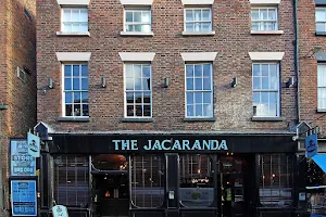 The Jacaranda image