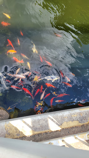 Zoo «Sibley Farm», reviews and photos, 900 Mound Avenue, Mankato, MN 56001, USA