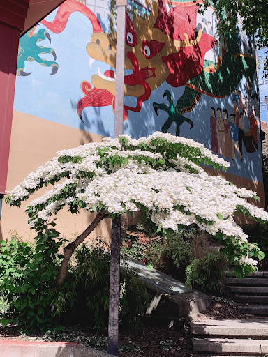 Park «Hing Hay Park», reviews and photos, 423 Maynard Ave S, Seattle, WA 98104, USA