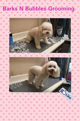 Barks N Bubbles Grooming (CPG)