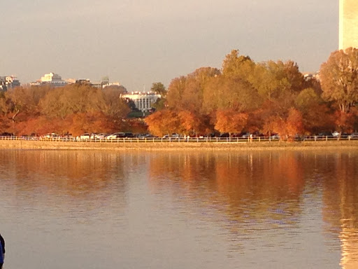 Monument «Thomas Jefferson Memorial», reviews and photos, 701 E Basin Dr SW, Washington, DC 20242, USA